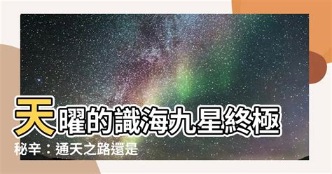 識海九星|【識海九星】《護心》：天曜將識海九星暗渡陳倉，只為守護她一。